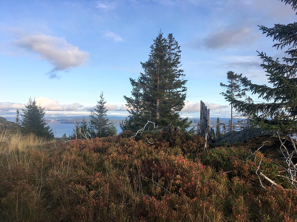 Bremeraunåsen.