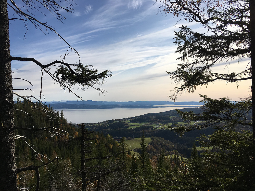 Fra Bjørnahaugen mot fjorden.