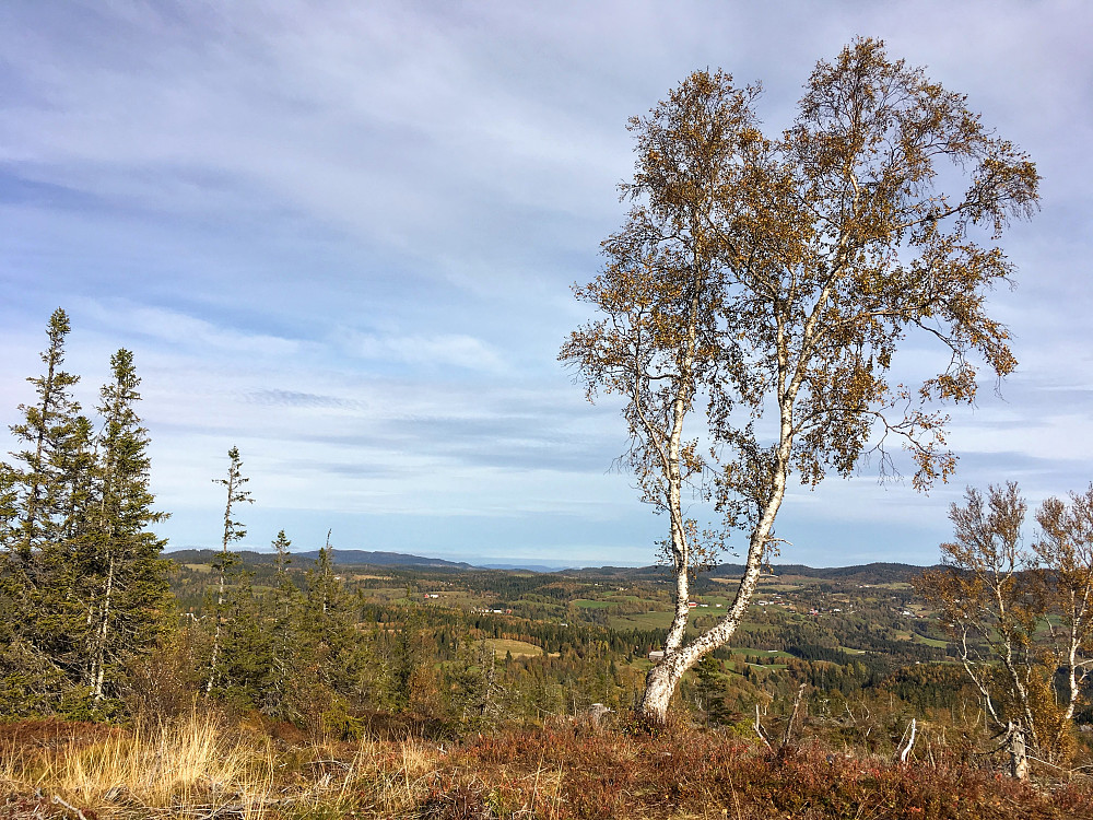 Toppen på Luråsen.Utsikt mot Dalbygda.