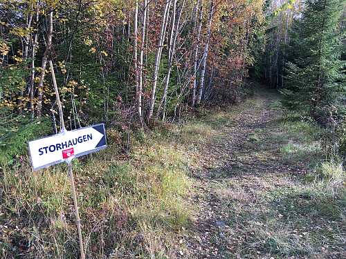 Der stien opp startet fra hovedveien var det satt opp merking så du kunne ikke ta feil her.