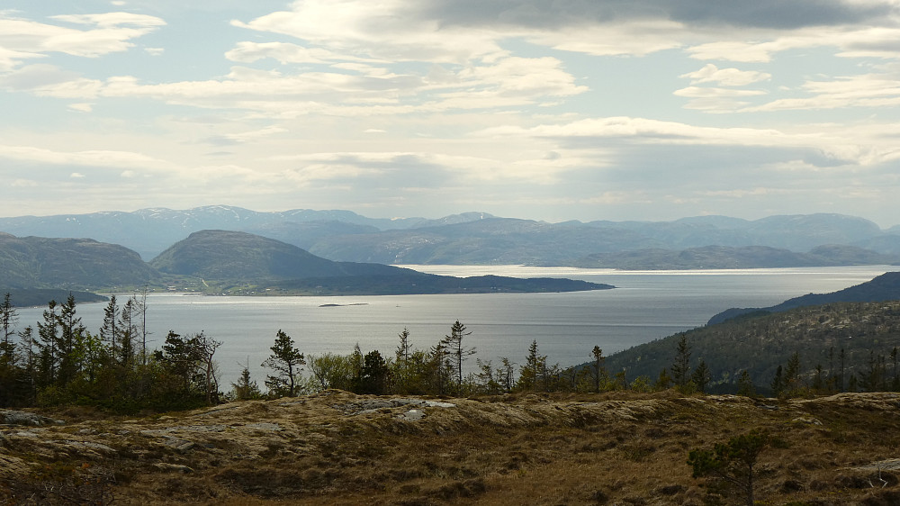 Utsikt mot Brettingen og Trondheimsfjorden.