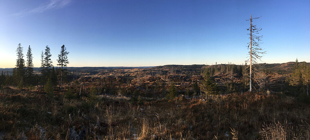 Panorama mot Dalbygda.