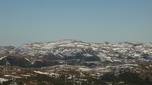 Mye snø oppe på Olsøyheia (Naglen) enda.