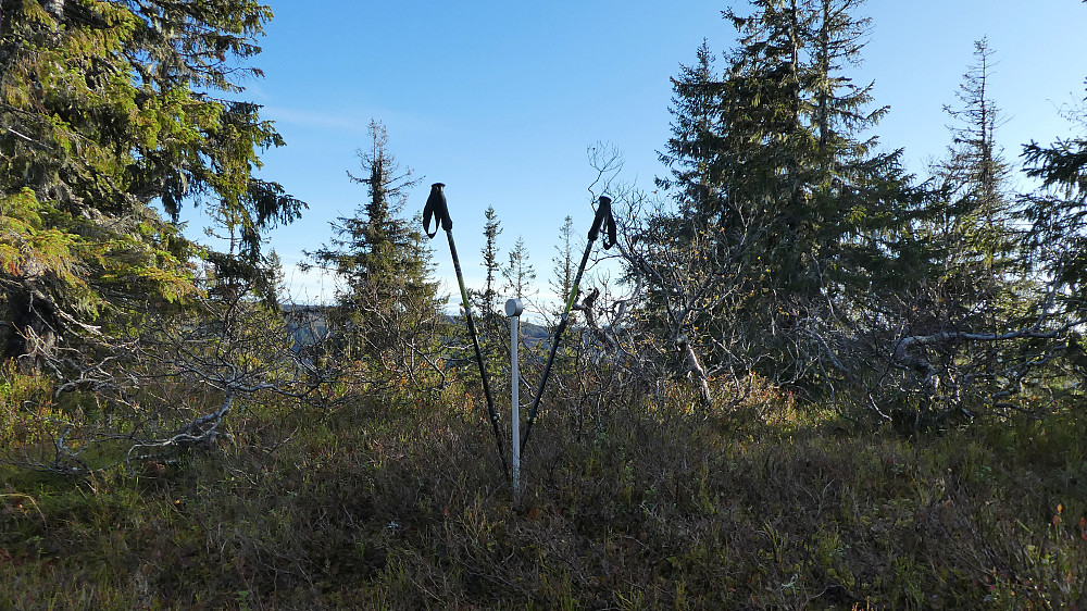 Toppen av Nordhaugen ligger her.