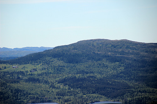 Hårfjellet 551 moh.
