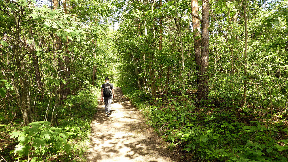 Gjennom frodig skog på vei opp til øyas høyeste punkt.