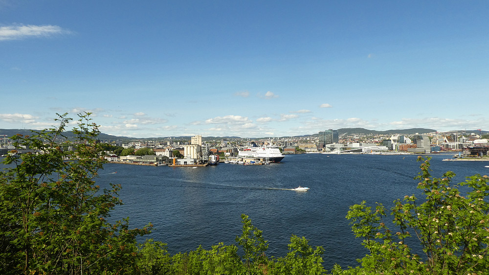 Mot Vippetangen og Bjørvika fra toppen på Hovedøya (nesten)