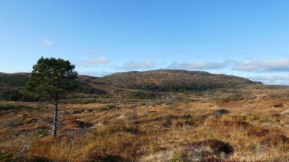 Storsalen 489 moh.