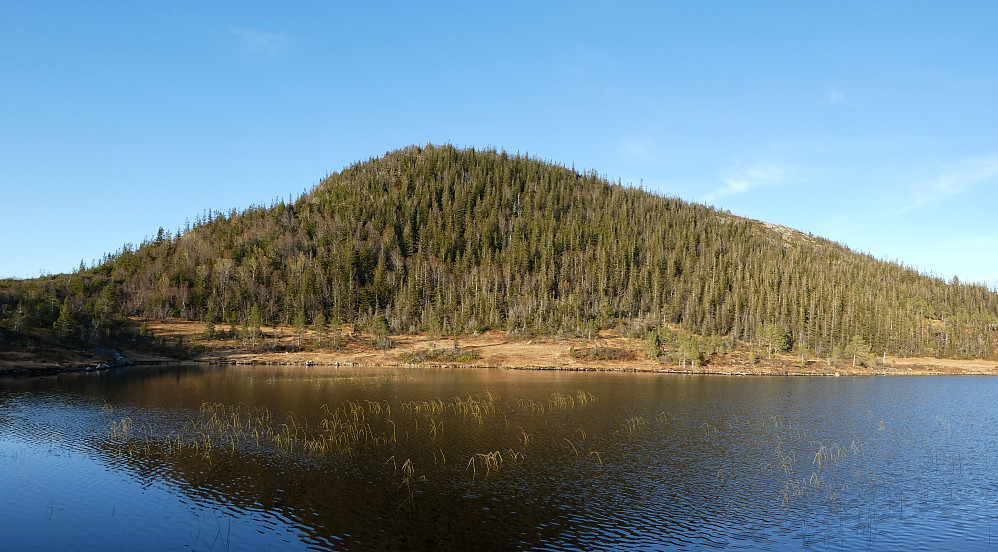 Oksen og Okstjønna.
