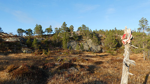 Eksempel på merking i starten av turen.