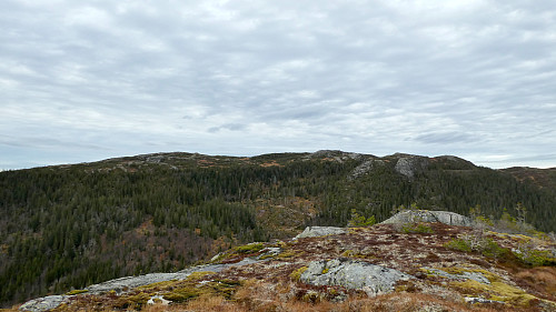 Kjelsheia.