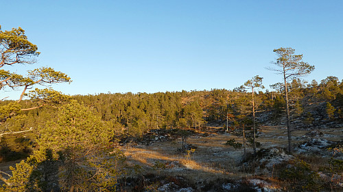 Har ikke passert skoggrensa enda.Litt sporadisk sti å se i terrenget oppover.
