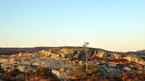 Ingen varde som markere toppen her.