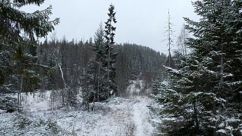 Stien ligger under vinterens første snø.