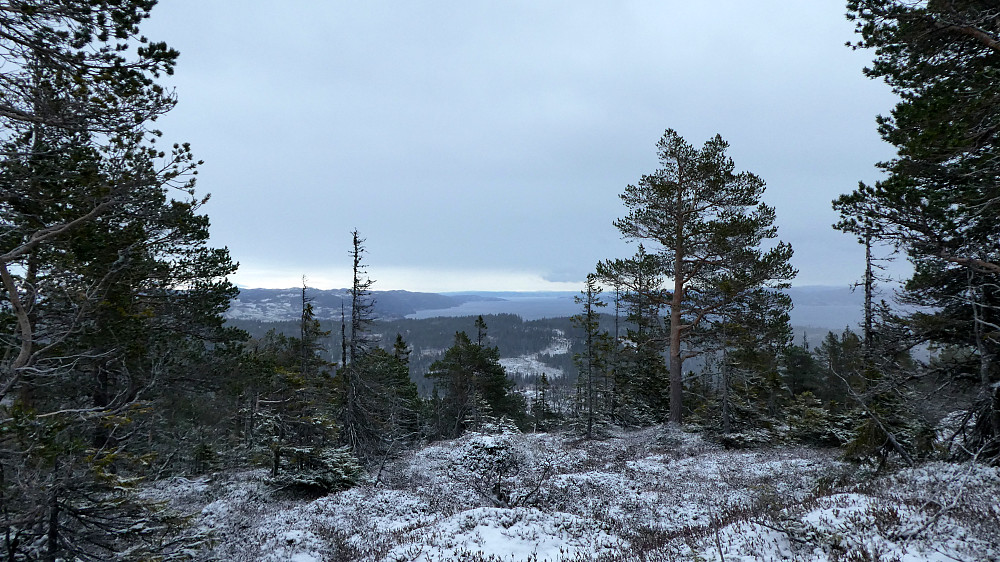 Utsikten fra toppunktet ned mot Leksvika.