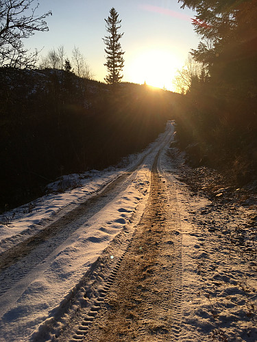 Skogsveien opp Flogdalen brukes av enkelte kjøretøy.