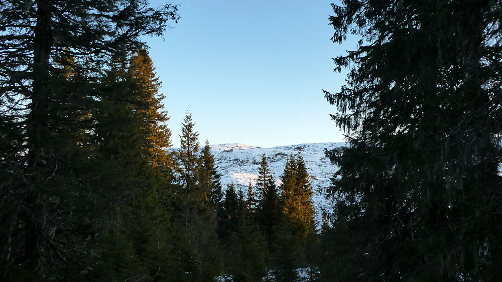 På vei ned igjen ser man opp mot toppen av Benkheia på 502 moh.