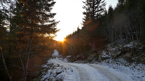 På retur ned Flogdalen mens sola også er på vei ned.
