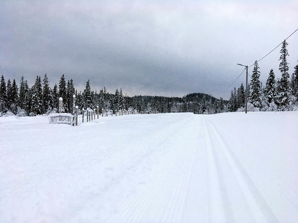 Mot Bjørnahaugen (Langåskammen)