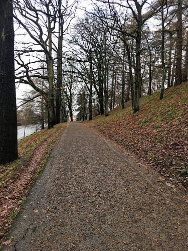 På vei opp til St.Hanshaugen.