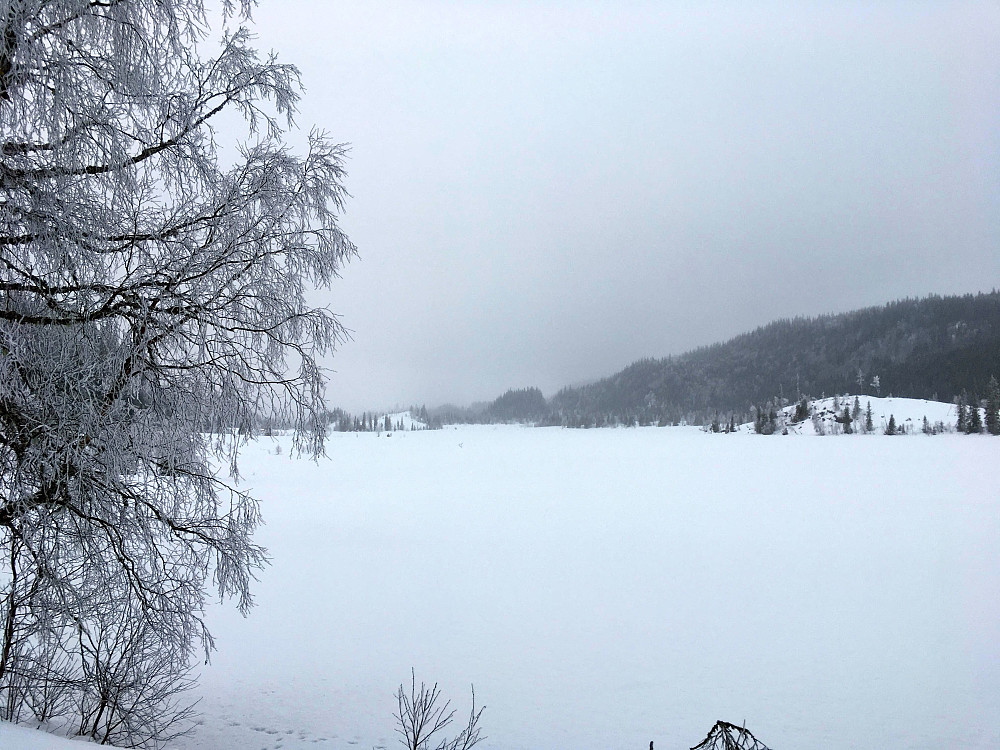 Elvtjønna.