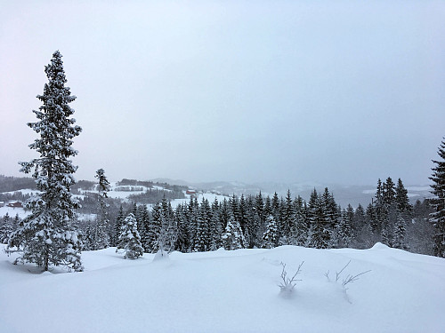 Snøbyger oppe i Dalbygda.