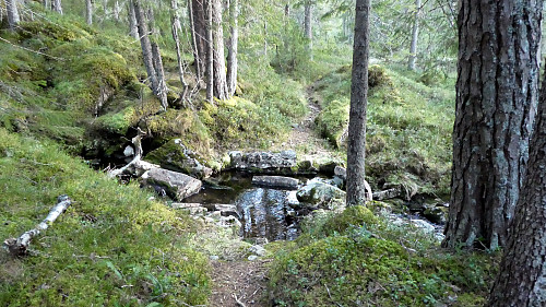 Åpen vann i en sidebekk til Årlotelva og "grønt" i skogen på den her årstida.