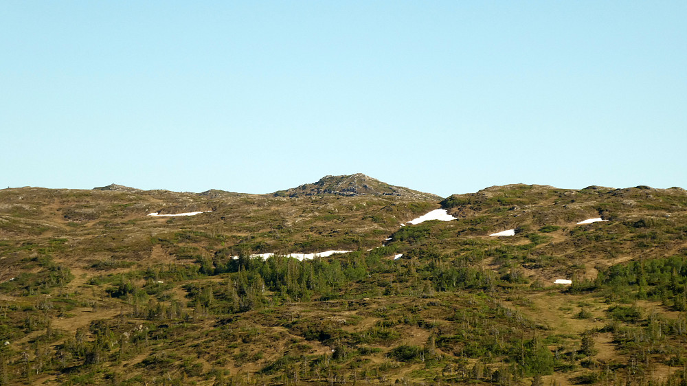 Årliklumpen 570 moh.
