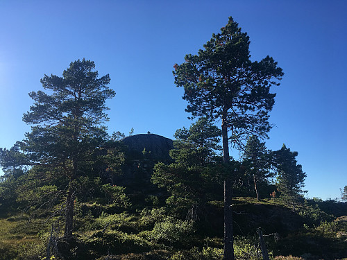 Høylasset ser ut som et høylass.