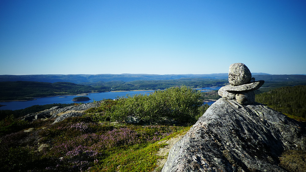 Høylasset har en "cool" varde.