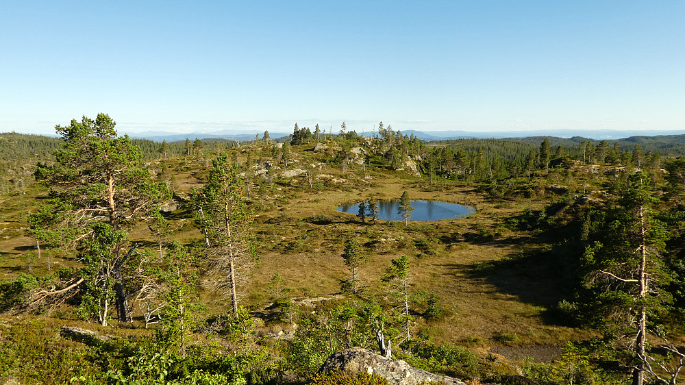 Fin natur her.