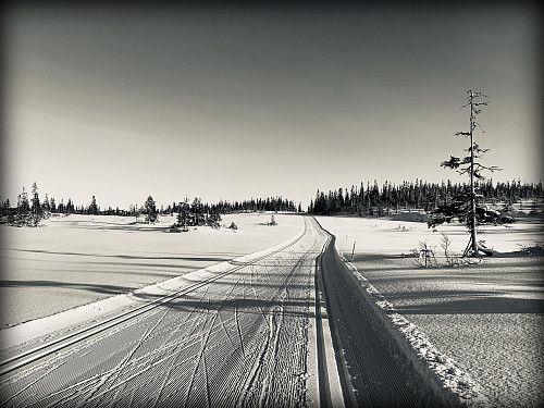 Black and White er også fint.