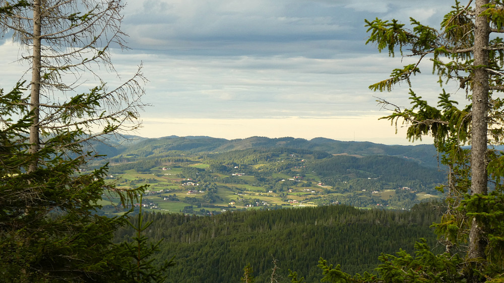 En del av Leksvika.