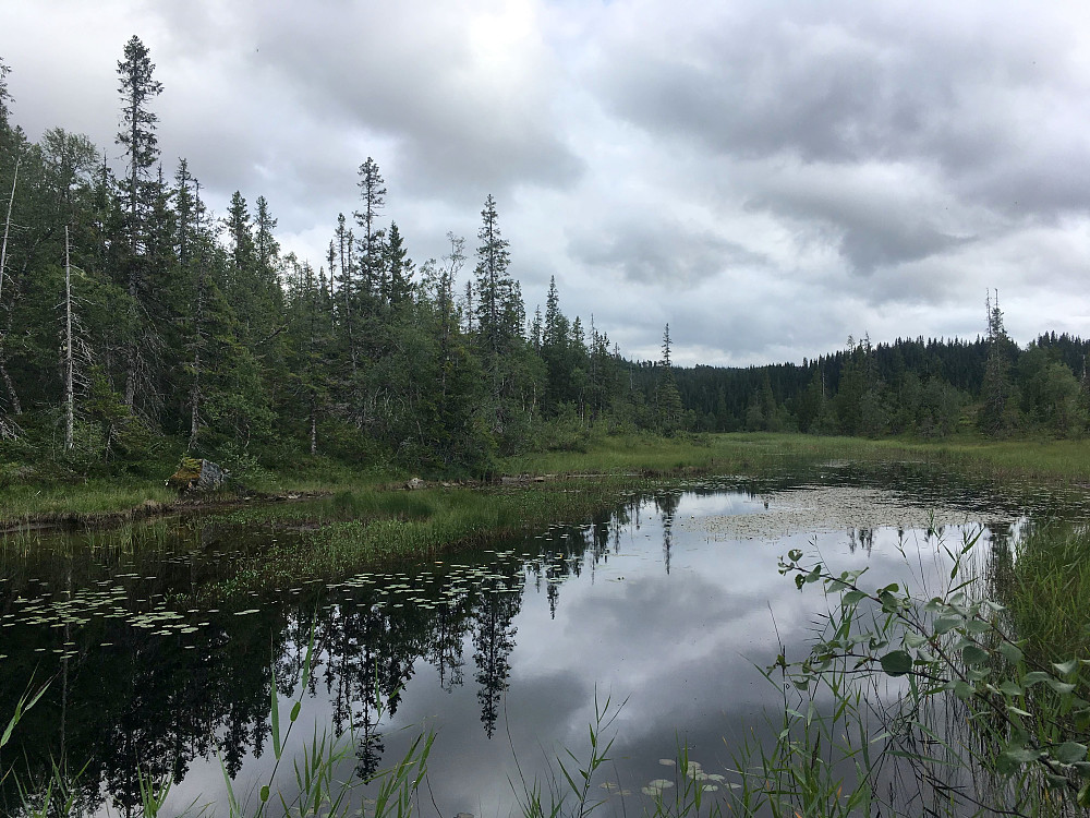 Mellom Litj og Storgrønsjøen.