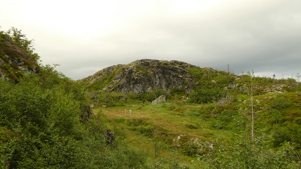 Stiskille oppe på myra her.Ytre og indre Hårfjellet.