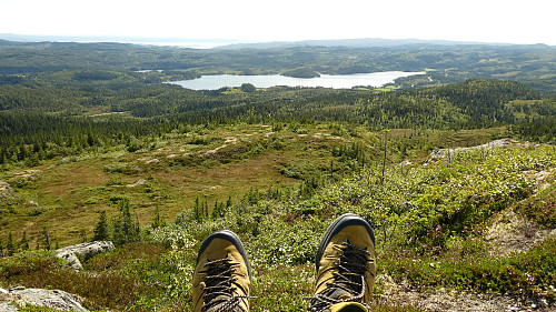 Fint.