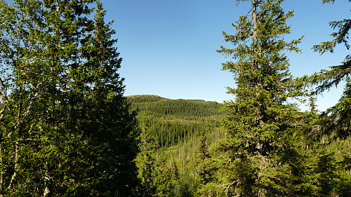 På vei opp mot toppen av Sollikammen.Ser her mot nord og Hårfjellet.