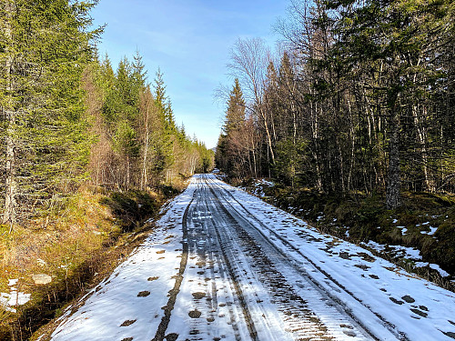 Litt snø i starten men det blir vel mere.Ca.1.3 km til stien starter fra skogsveien.