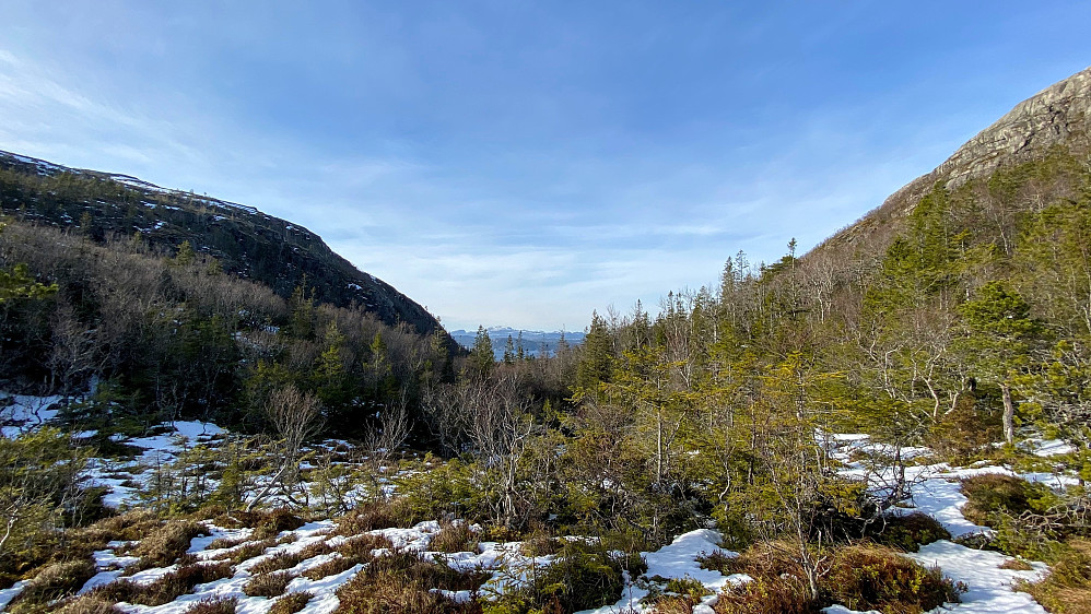 Ser nedover Moltdalen her.