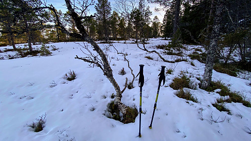 Mye snø på myrene opp mot Tverrstabben.