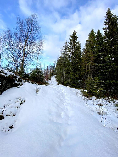 Snart oppe på Storhaugen no.Litt snø her ja.