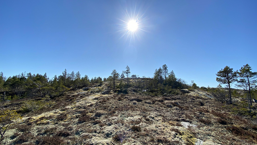 Råheia.