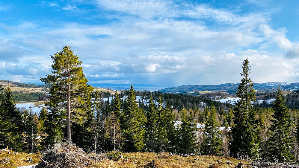 Mot sør ser man Trondheimsfjorden og Tautra.