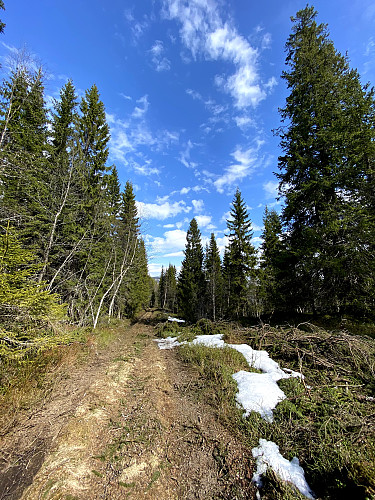 Steindalen.