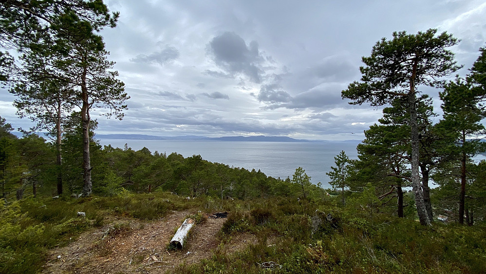 Utsikt mot Trondheimsfjorden og Byneset.