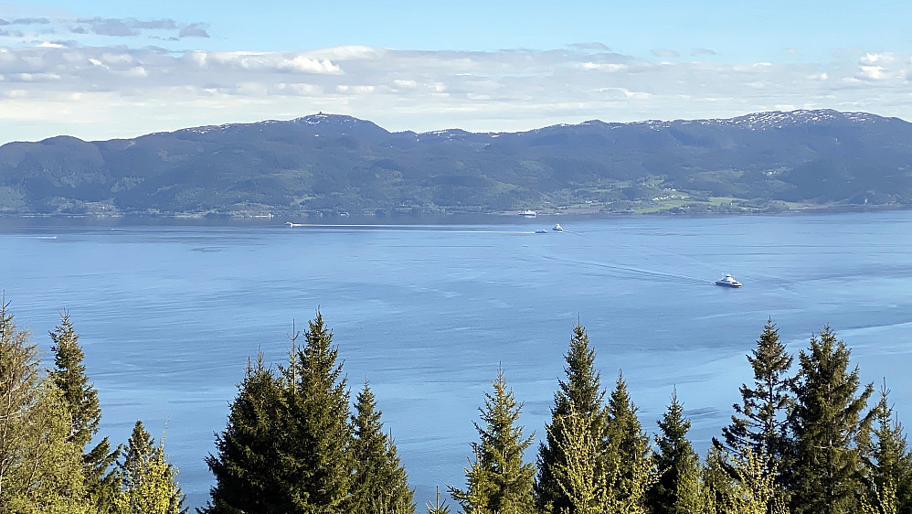 Fin utsikt fra Brekkflata ut over Trondheimsfjorden.Her ser vi fergesambandet Flakk-Rørvik.