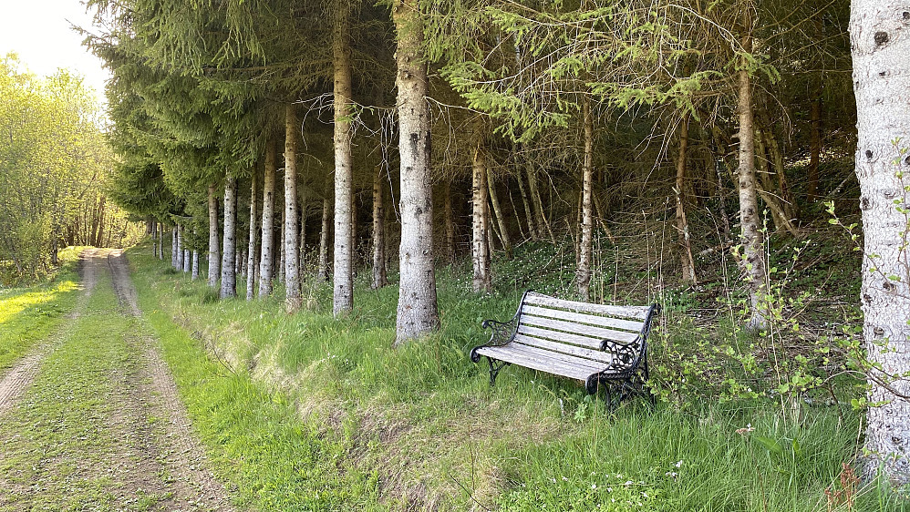 En hvilebenk er satt opp på turen mot gapahuken hvis noen skulle trenge det.