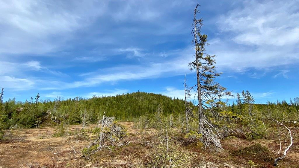 Vaggeldalsåsen.