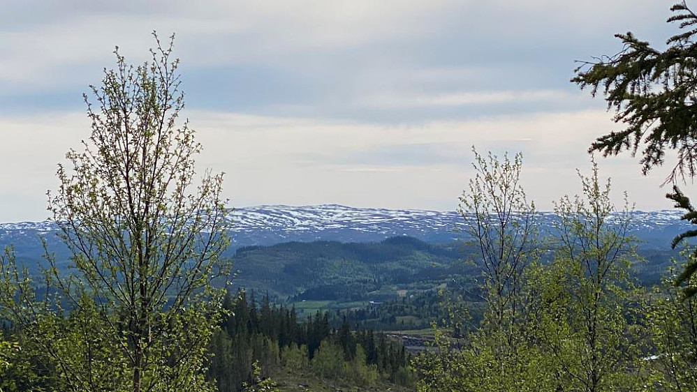 .........sør og Fagerheia med Langåskammen i front.
