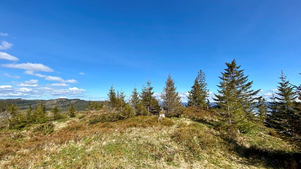 Bremeraunåsen.